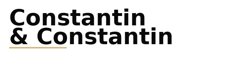 Constantin & Constantin logo